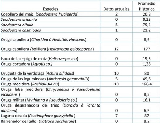 Cuadro_comparativo.jpg