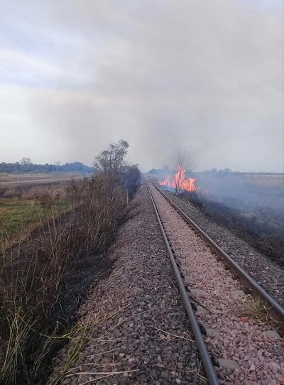 Incendio_pastizales_2.jpg