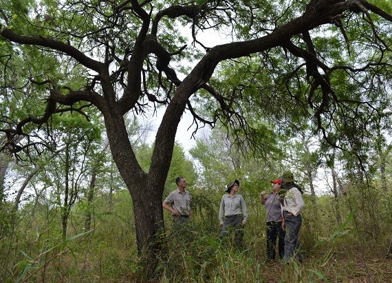 Ing_forestales_en_INTA_02.jpg